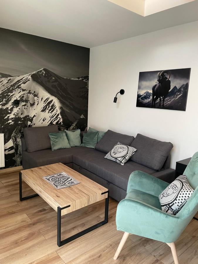 Czarny Baran Apartment Zakopane Ngoại thất bức ảnh